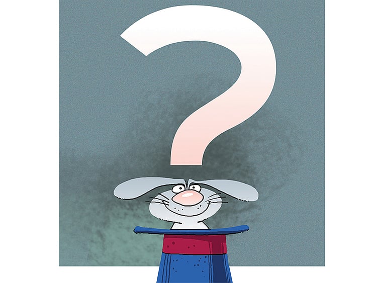 1.1646527-4224984468