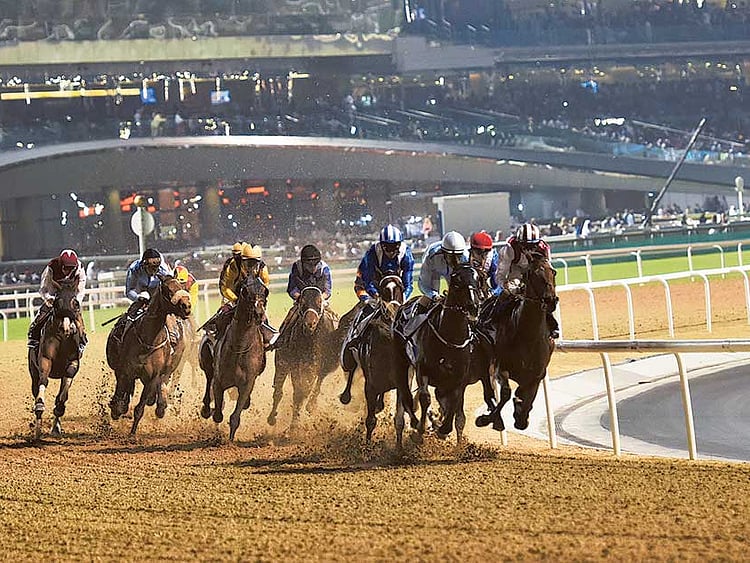 1.1631458-2420010164