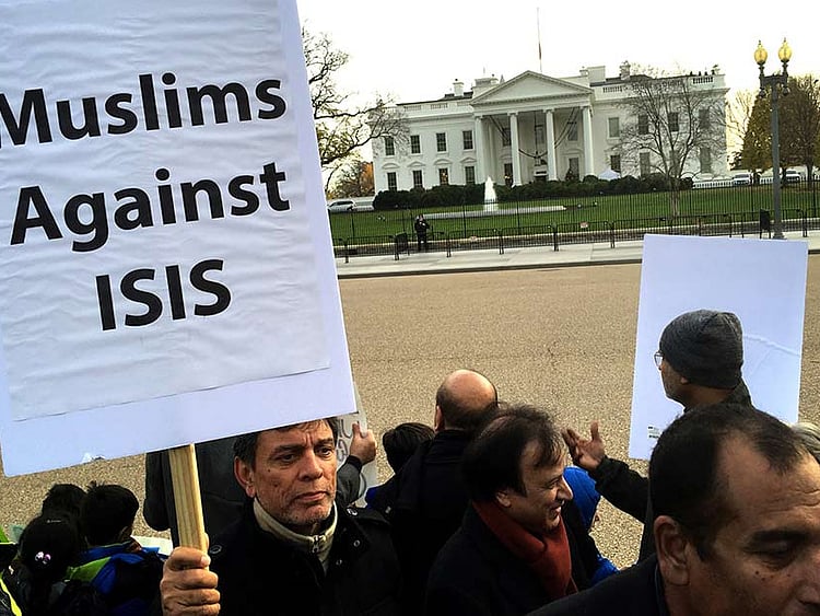 1.1633397-3801293144