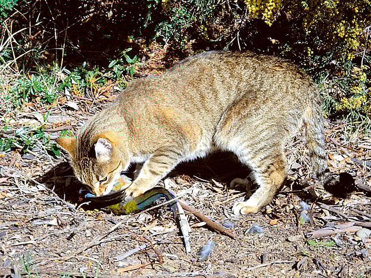 1.1454489-2019937536