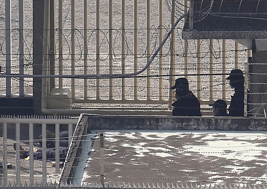 1.1455637-1910171339