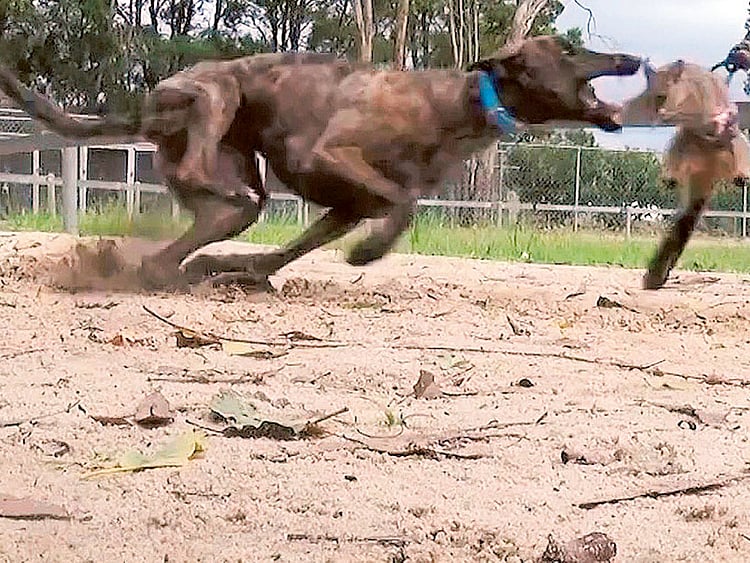 1.1458304-3705276235