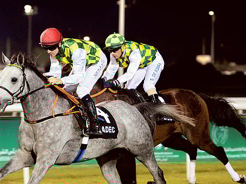 Ahmed Kutty/Gulf News