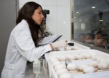 King Croc family growing