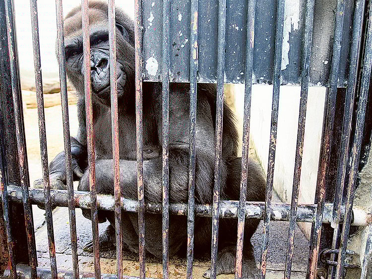 1.1458891-2298007258