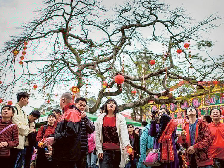 1.1460428-3979785685