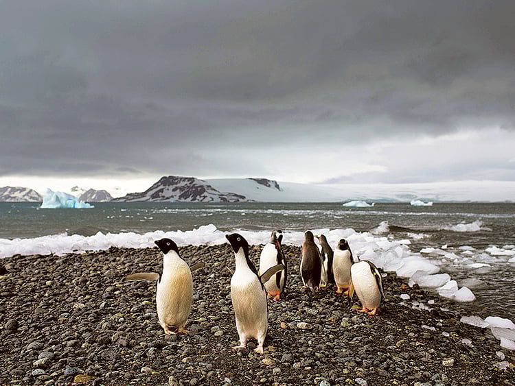 1.1460662-2771295956