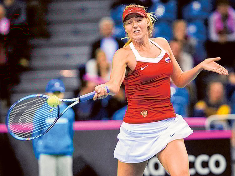 1.1461163-1677117461