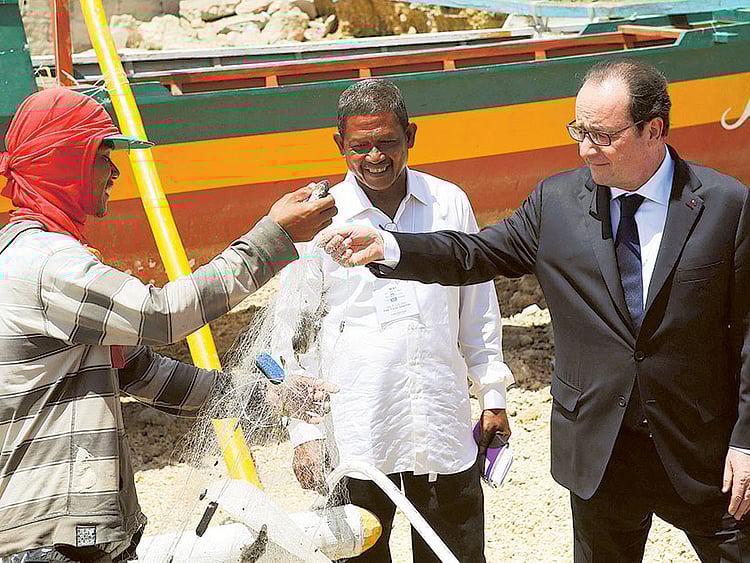 1.1463884-3533250684