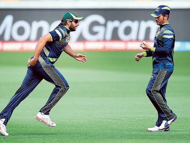 1.1464290-3355490232