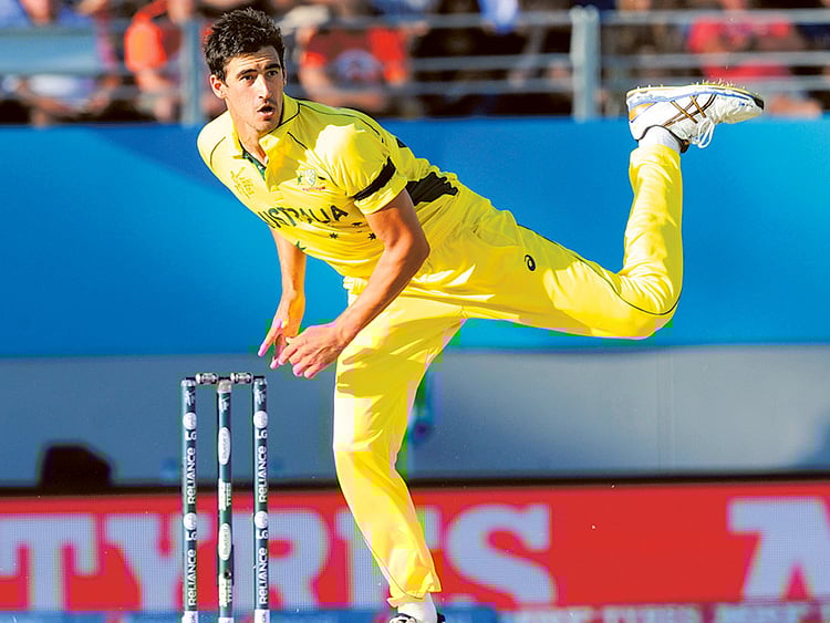 1.1464234-2315692413