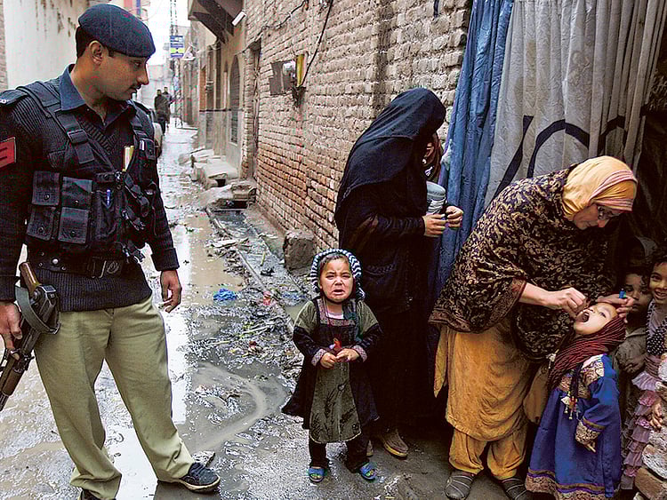 1.1464344-3413251730