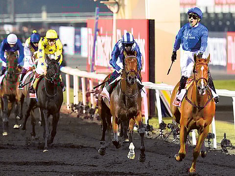 African Story won the
2014 Dubai World Cup
on Meydan’s all-weather
track in March, but needs
to prove he can handle
the dirt on his seasonal
debut after a 313-day
lay-off.
