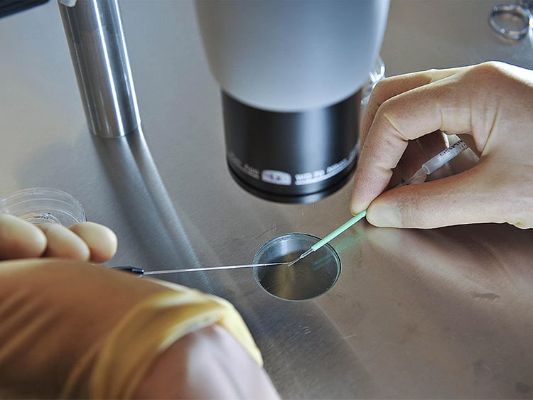 1.1903143-3101667873