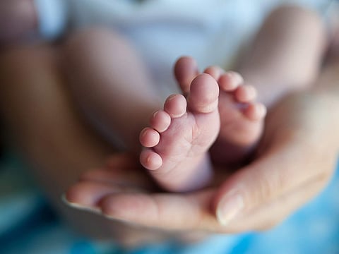 COVID-19 is not thought to cause birth defects, unlike viruses like Zika