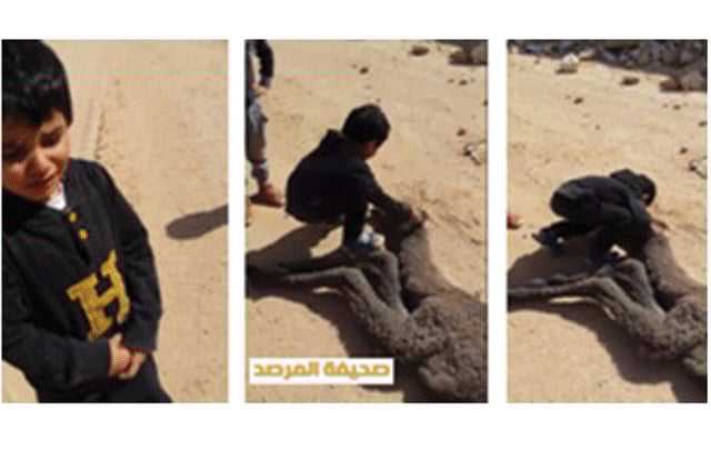 1.1453898-1906772713