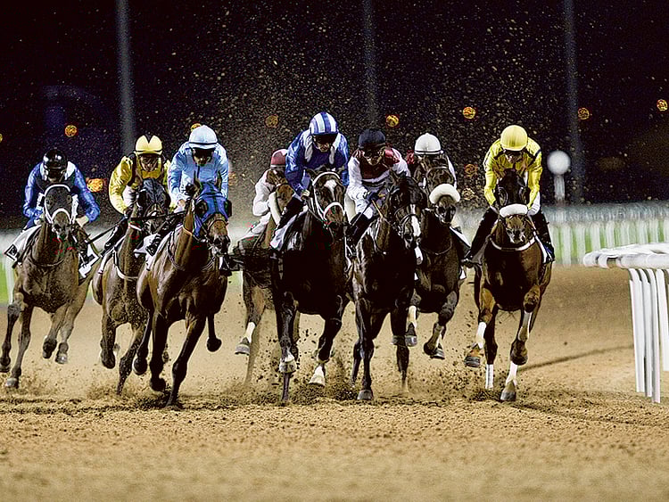 1.1464741-3338034649