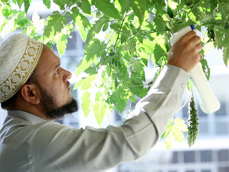 1.1469720-4271630664