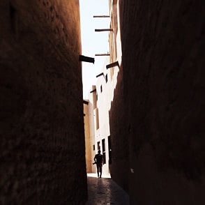 Reader picture of the day