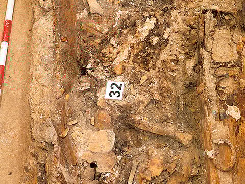 This handout picture released on March 17, 2015 by Sociedad de Ciencia Aranzadi shows an archeologic