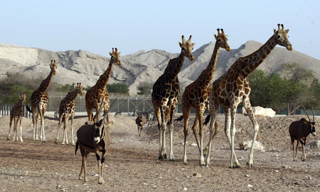 1.1473794-2960233390