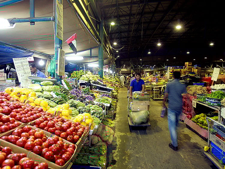 1.1473930-2651840878