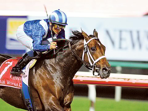 
Invasor, ridden by Fernando Jara and trained by Kiarin McLaughlin, wins the 2007 Dubai World Cup race held 
at Nad Al Sheba.