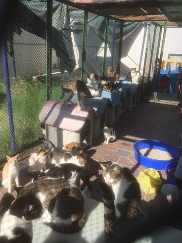 1.1465241-1409503831