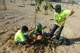 Student group goes green