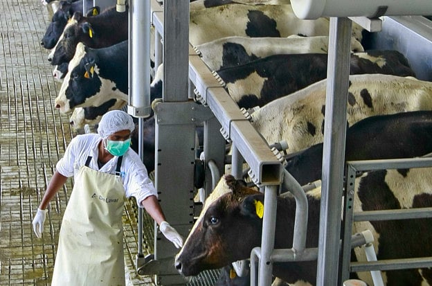 1.1476950-2129668080