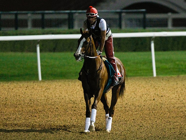 1.1667010-4274758343