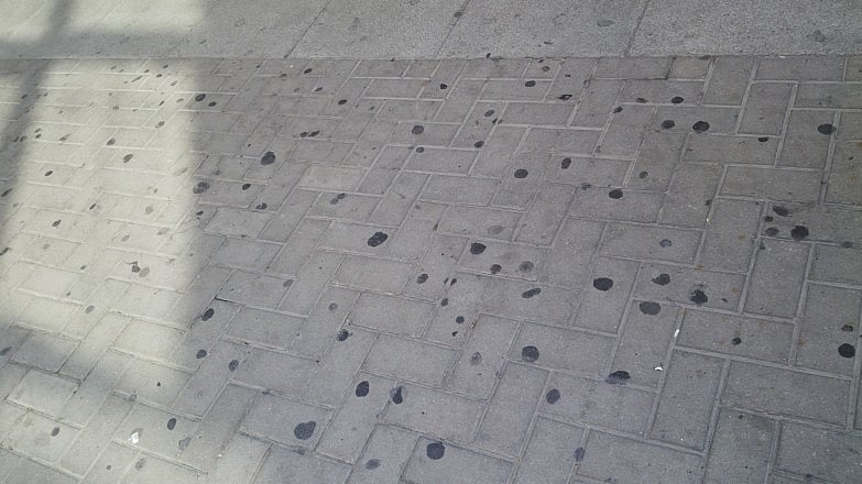 1.1477497-1350765871