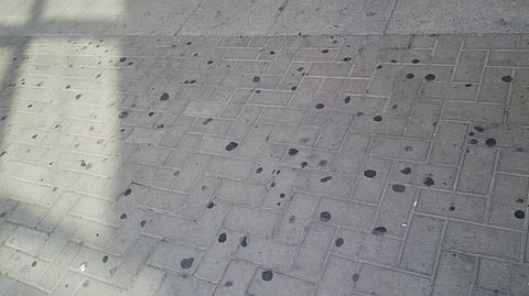 Maha Khatib/Gulf News reader