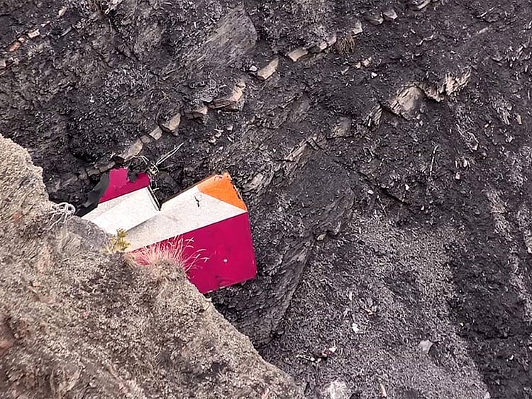 1.1479576-3655806653