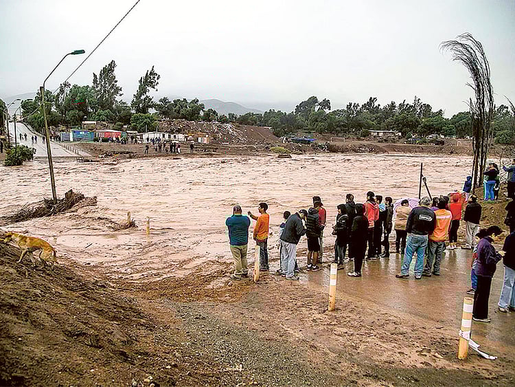 1.1479792-2514644413