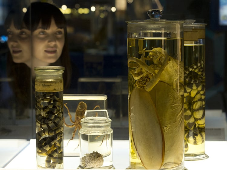 1.1480450-1892200891