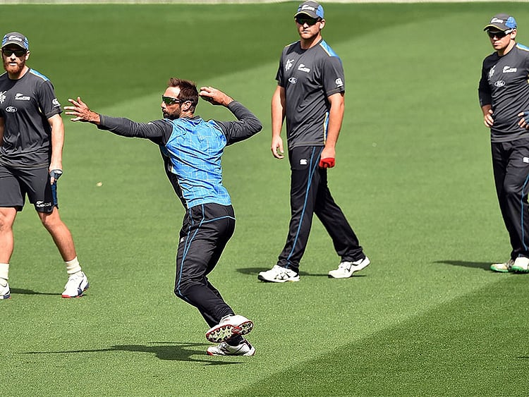 1.1480284-2229460663