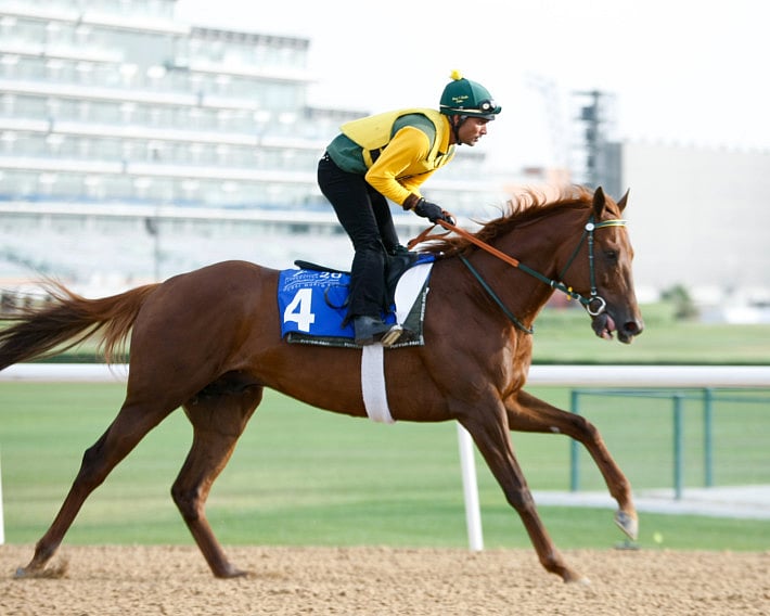 1.1480590-2789443253