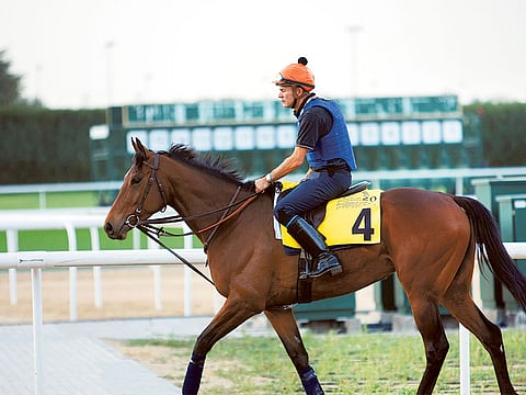 Virendra Saklani/Gulf News