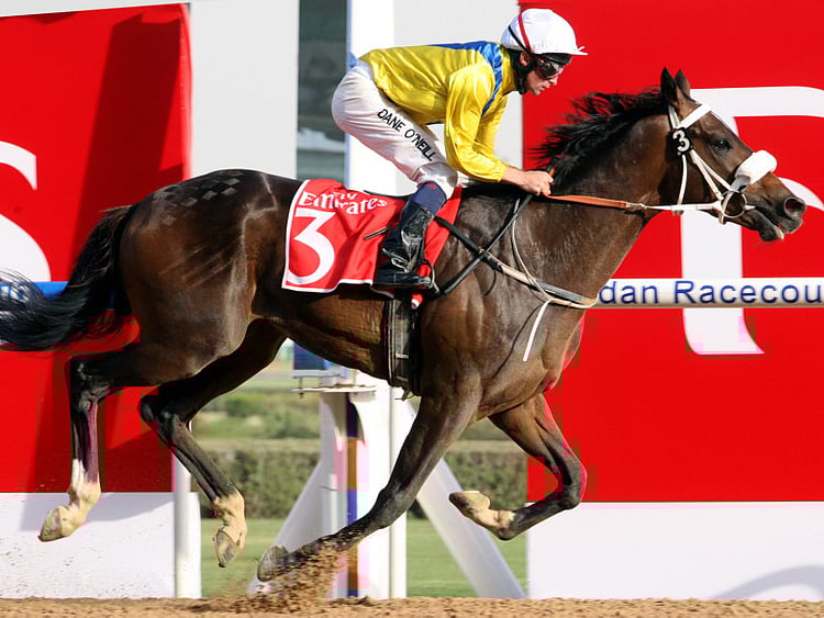 1.1480578-3316566421