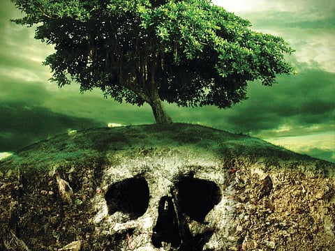 We’re treating soil like dirt — it’s a fatal mistake