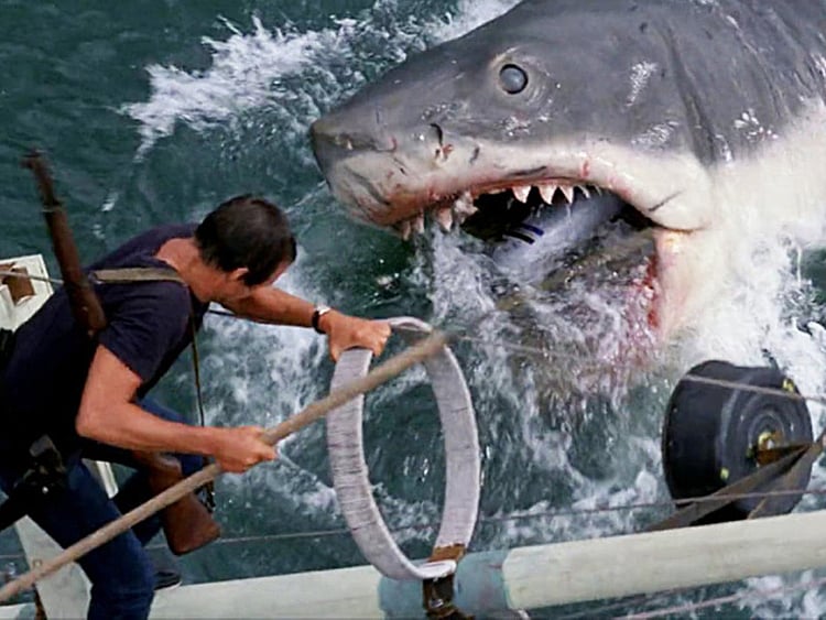 1.1480984-3257141105