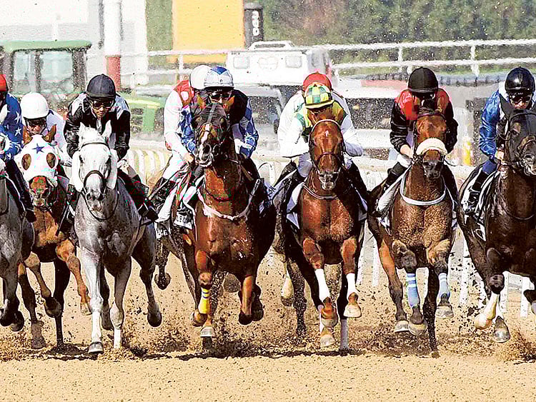 1.1481001-1245161465