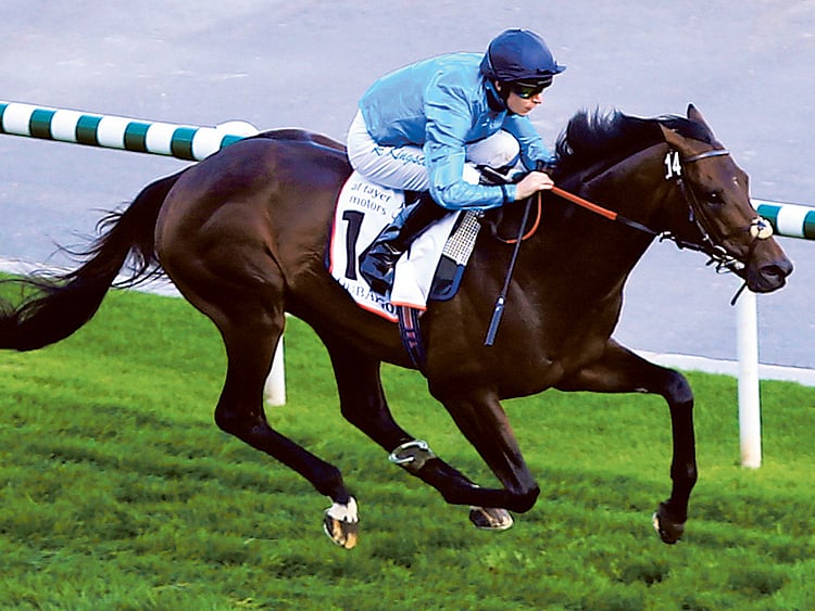 1.1481074-2840266007