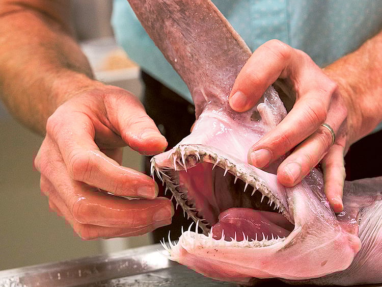 1.1465821-1477743097