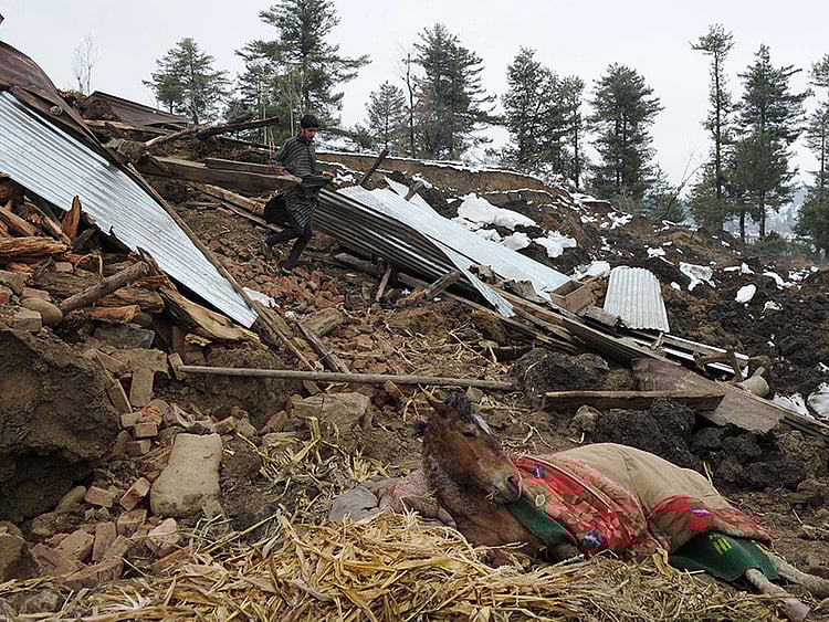 1.1481758-1549346666