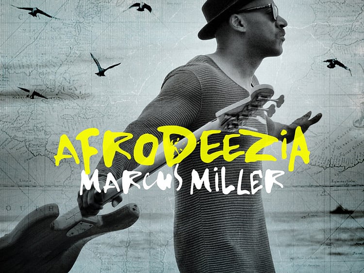 1.1481238-1673415953