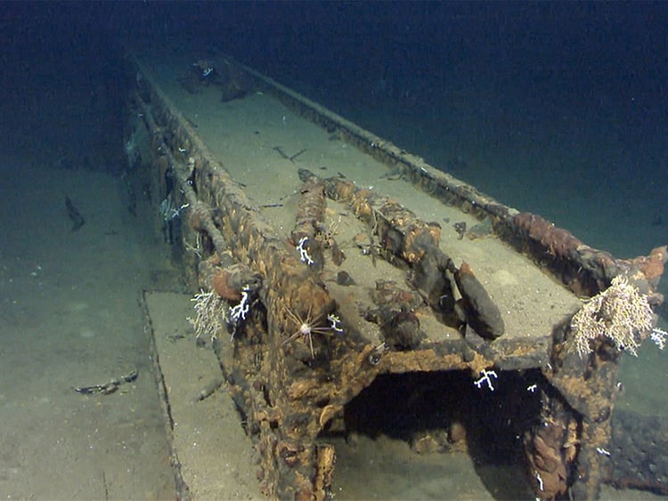 1.1466424-3502894643