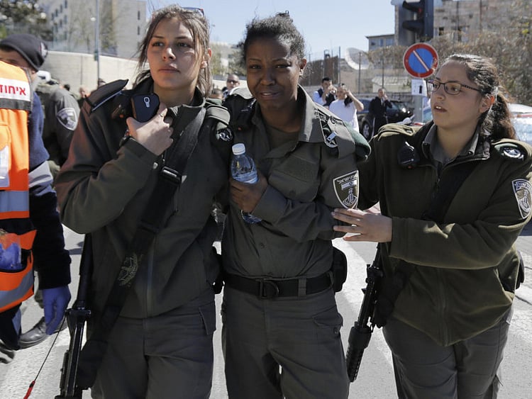 1.1467671-1664645286