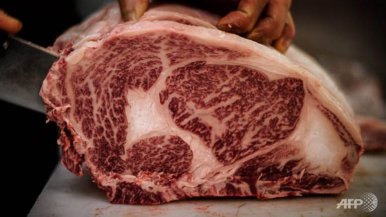 1.1467320-3789478459